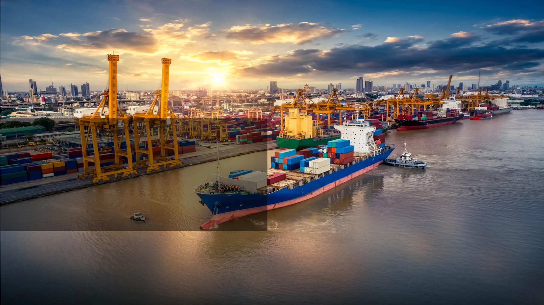 Elevate Your Everyday Lifestyle